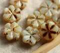 SPUN HONEY BLOOMS .. 10 Premium Picasso Czech Flower Glass Beads 10x3mm (4230-10) .. jewelry supplies