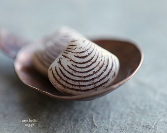 May include: Two white seashells with brown stripes on a copper spoon. The shells are arranged side by side, with the striped shell in the foreground.