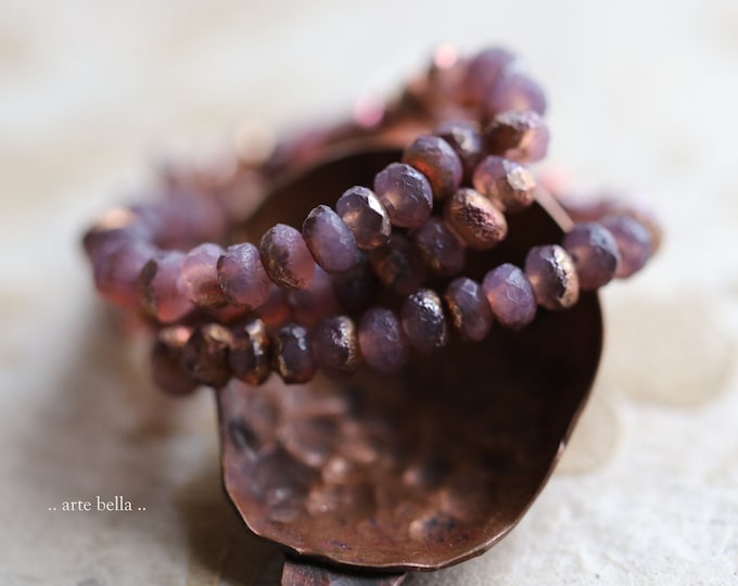 RUSTIC COPPER ROSE Babies .. 30 Premium Etched Czech Glass Faceted Rondelle Beads 3x5mm (9257-st)