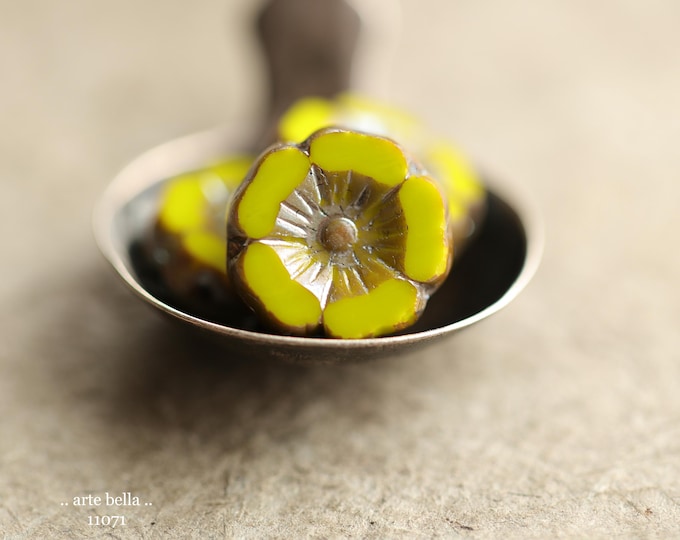MYSTIC CHARTREUSE BLOOMS .. New 6 Premium Picasso Czech Glass Hibiscus Flower Beads 12mm (11071-6) .. jewelry supplies