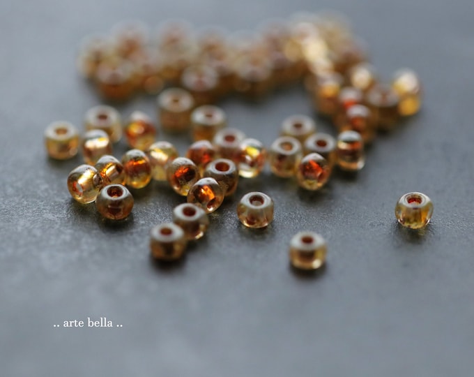 EARTHY SEEDS .. 50 Premium Picasso Czech Glass Faceted Seed Bead Size 6/0 (9738-st)