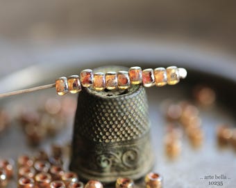 back in stock .. SILVERED EARTH SEEDS .. 100 Premium Picasso Japanese Toho Size 7/0 Seed Beads (10235-100) .. jewelry supplies