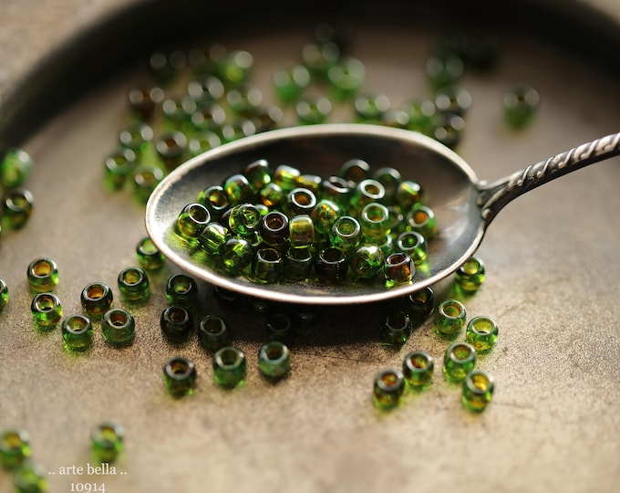 EARTHY GRASSLAND SEEDS No. 2 .. New 500 Premium Japanese Toho Picasso Glass Seed Beads Size 8 (10914-500) .. jewelry supplies