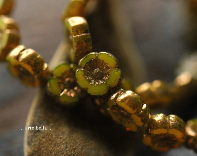 BRONZED PEAR BLOOMS .. 16 Premium Czech Glass Hibiscus Flower Beads 10mm (9686-st)