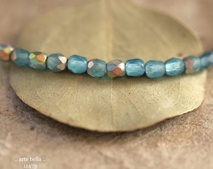 New .. MYSTIC PACIFIC TOTS .. 50 Premium Matte Czech Glass Faceted Round Beads 4mm (11473-st) .. jewelry supplies