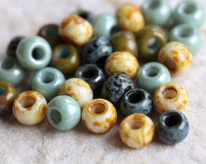 EARTHY SUCCULENT SEEDS No. 8422 .. 30 Premium Picasso Czech Glass Seed Bead Mix Size 2/0 (8422-30)
