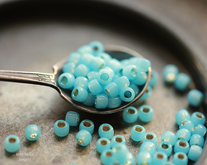 CARIBBEAN GLOW SEEDS .. New 100 Japanese Toho Glass Seed Bead Size 6/0 (10903-100) .. jewelry supplies