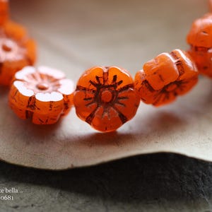 premium glass beads .. COPPERED TANGELO PANSY .. 12 Czech Glass Hibiscus Flower Beads 10mm (10681-st) .. jewelry supplies