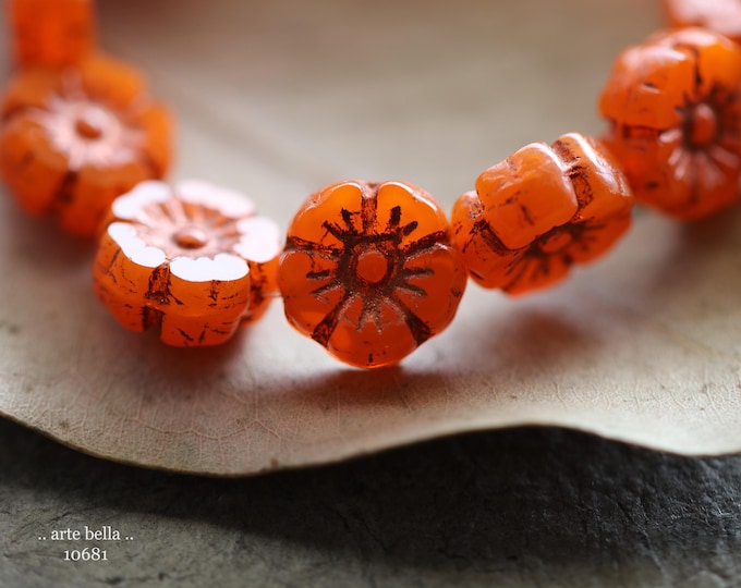 COPPERED TANGELO PANSY .. 12 Premium Czech Glass Hibiscus Flower Beads 10mm (10681-st) .. jewelry supplies