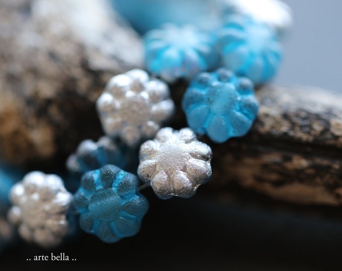 SILVERED PACIFIC CACTUS Blooms .. 25 Premium Czech Etched Glass Cactus Flower Beads 9mm (9346-st)