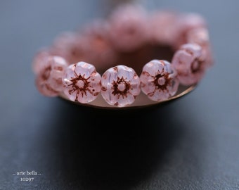 COPPERED PINK PANSY .. New 12 Premium Czech Glass Hibiscus Flower Beads 7mm (10297-st)