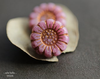 COPPERED PINK SUNFLOWERS .. New 6 Premium Czech Glass Flower Beads 13mm (10359-6) .. jewelry supplies