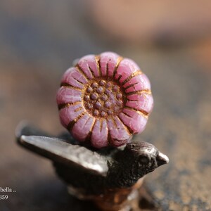 COPPERED PINK SUNFLOWERS .. New 6 Premium Czech Glass Flower Beads 13mm 10359-6 .. jewelry supplies image 2