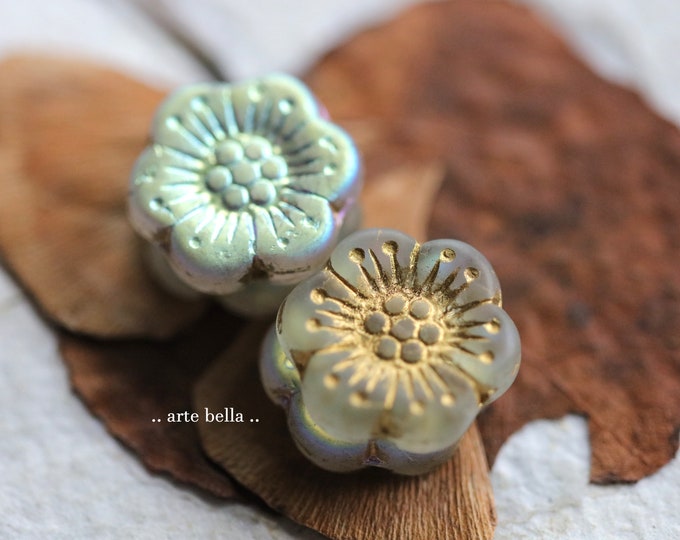 GOLDEN MYSTIC ROSES 18mm .. 4 Premium Matte Czech Glass Wild Rose Beads (9631-4) .. jewelry supplies