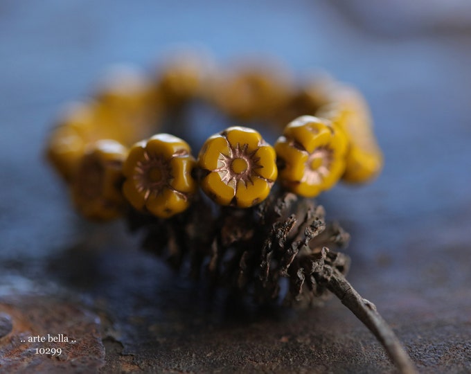 COPPER MUSTARD PANSY .. 12 Premium Czech Glass Hibiscus Flower Beads 7mm (10299-st) .. jewelry supplies