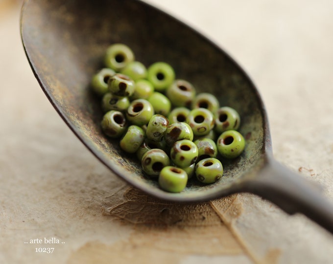 back in stock .. EARTHY APPLE SEEDS .. 100 Japanese Miyuki Glass Size 6/0 Seed Beads 4x3mm (10237-100) .. jewelry supplies