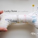 Lucky Bone Patchwork Toy Sewing Pattern/pdf - Etsy