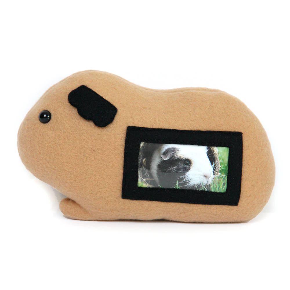 Guinea Pig Plush Picture Frame Cavy Photo 50