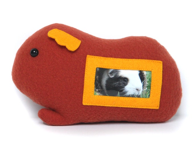 Guinea Pig Plush Picture Frame Ready to Ship / Cavy Photo Frame