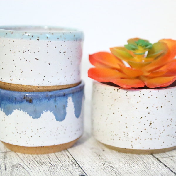 Speckled Ceramic Mini Succulent Planters