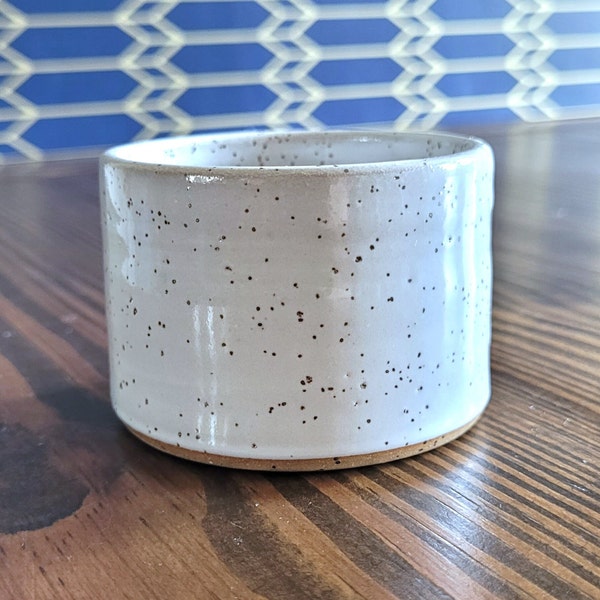 Modern Speckled White Ceramic Planter for Succulents