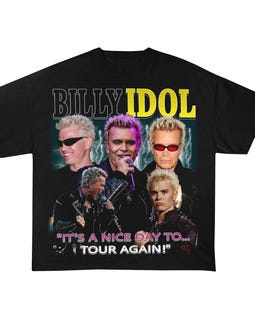 Billy Idol 2025 Concert, Billy Idol It's Nice Day to Tour Again