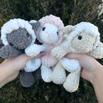 Lamb Accessories