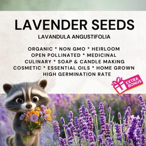 True Lavender Seeds | Organic Lavandula Angustifolia, Non-GMO, Heirloom | Perfect for Beginners + Free Gifts, Fragrant Blooms DIY Garden