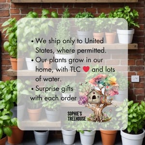 May include: A shelf with potted plants, including herbs, against a brick wall. The text on the shelf reads: "We ship only to United States, where permitted. Our plants grow in our home, with TLC and lots of water. Surprise gifts with each order. Sophie's Treehouse."
