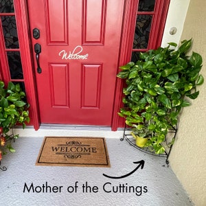 May include: A red front door with a welcome mat and a potted plant. The plant is labeled "Mother of the Cuttings" and is a variegated green and yellow plant.