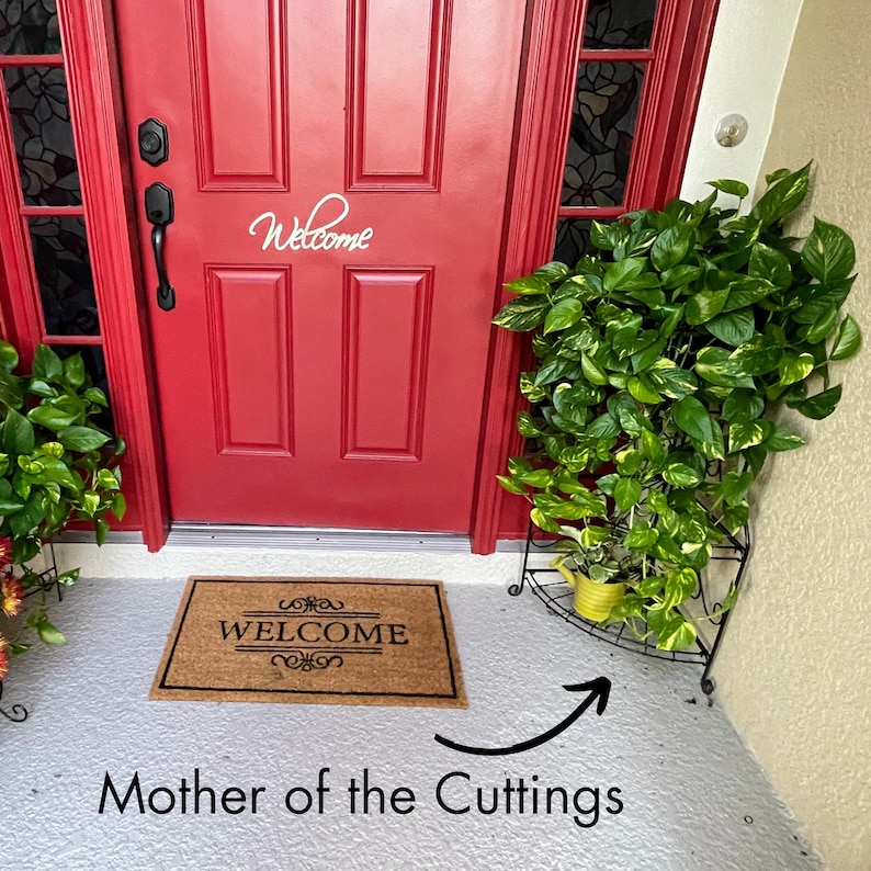 May include: A red front door with a welcome mat and a potted plant. The plant is labeled "Mother of the Cuttings" and is a variegated green and yellow plant.