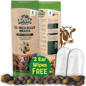 12-Inch Bully Braids - 3 Count | Premium All-Natural Dog Chews | Long-Lasting & Odor-Free