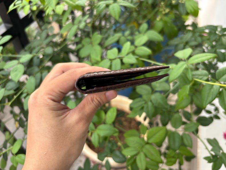 Pu&ograve; includere: Un portafoglio in pelle marrone, tenuto aperto per rivelare l'interno. Il portafoglio ha una superficie strutturata e sembra essere realizzato in pelle di alta qualit&agrave;. Lo sfondo &egrave; sfocato, con fogliame verde.