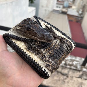 Natuurlijke originele alligator echte hoorn volledig kleine lederen huid heren portemonnee / premium exotische lederen portemonnee / verjaardagscadeau mannen