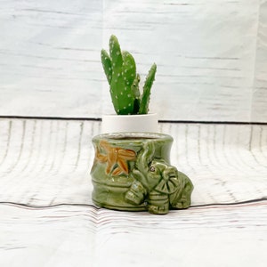 Puede incluir: Pequeña maceta de cerámica verde con un diseño de elefante y una planta de cactus. La maceta tiene una figura detallada de elefante en el lateral y un diseño de estrella de mar. El cactus está en una maceta blanca.