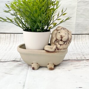 May include: A beige ceramic planter shaped like a bathtub, with a lion's head and paws. The planter holds a small white pot with a green plant. The lion has brown details, and the overall design is whimsical.