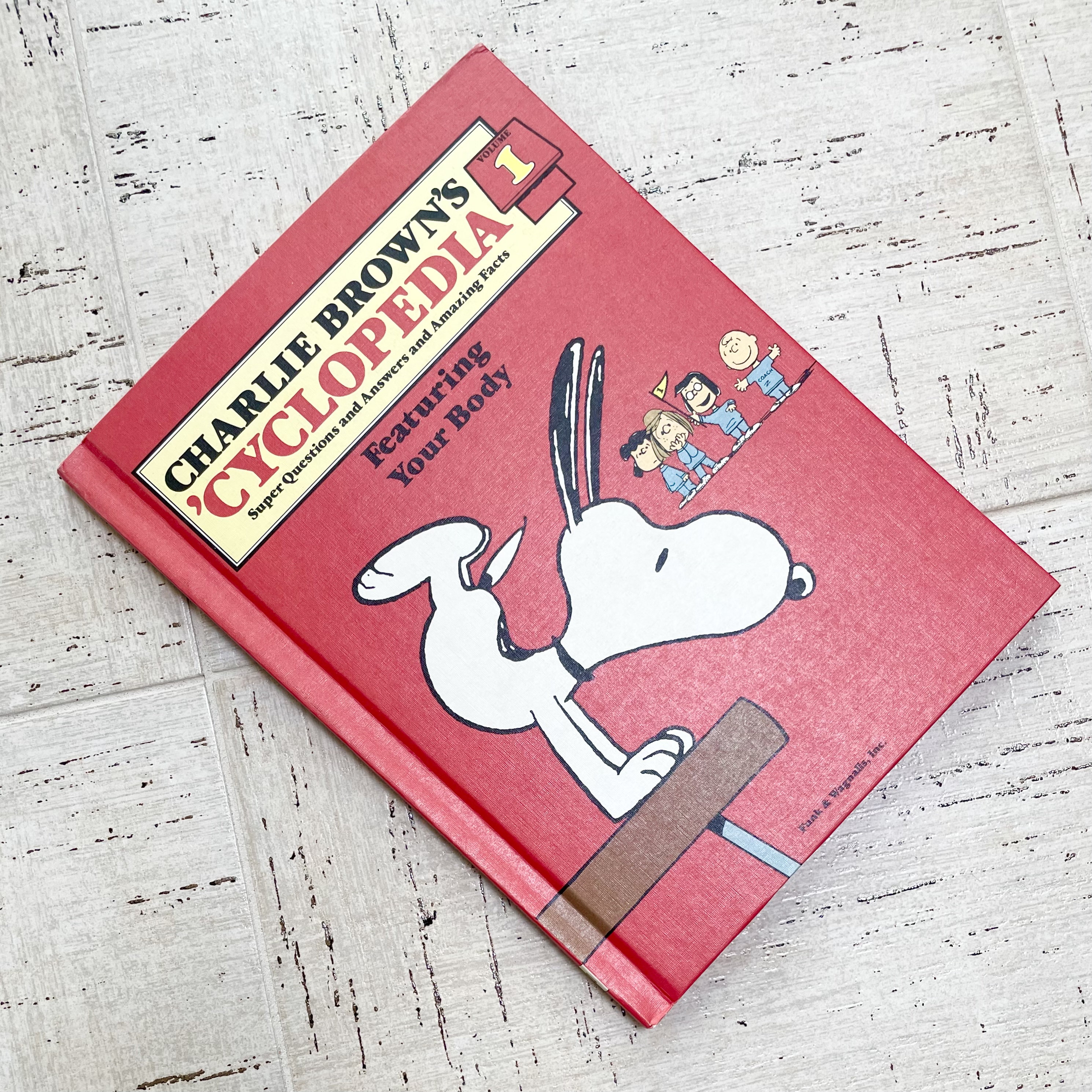 Charlie Brown Cyclopedia - Etsy Canada