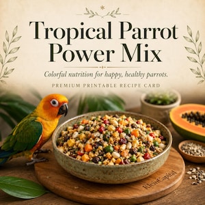 May include: A printable recipe card titled Tropical Parrot Power Mix with the subtitle Colorful nutrition for happy, healthy parrots. The card features a bowl of mixed seeds, nuts, and dried fruit next to a sun conure parrot.