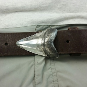 Sharks Tooth 1.5 inch Belt Buckle in Sterling Silver Designed and Handcrafted by Peter Senesac