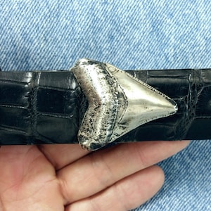Sharks Tooth 1.25 inch Belt Buckle in Solid Sterling Silver Handcrafted by Peter Senesac