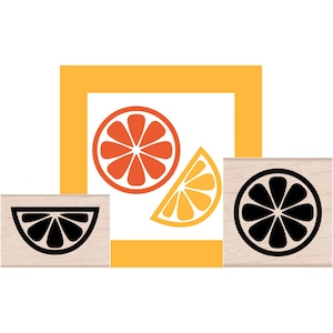 Citrus Slices Rubber Stamp set