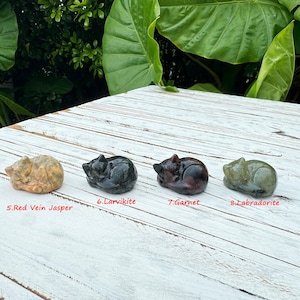 Pu&ograve; includere: Cinque statuine di gatti addormentati scolpite in diversi tipi di pietra. I gatti sono disposti in fila da sinistra a destra. Le pietre sono: Jaspe a vena rossa, Larvikite, Granato, Labradorite.