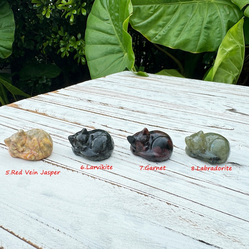 Pu&ograve; includere: Cinque statuine di gatti addormentati scolpite in diversi tipi di pietra. I gatti sono disposti in fila da sinistra a destra. Le pietre sono: Jaspe a vena rossa, Larvikite, Granato, Labradorite.