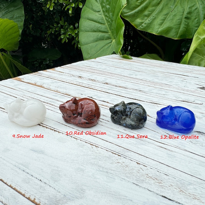 Pu&ograve; includere: Quattro figurine di gatto che dormono scolpite in diversi tipi di pietra. Da sinistra a destra: giada di neve bianca, ossidiana rossa, que sera blu-grigia e opale blu.