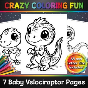 Páginas para colorear imprimibles de Baby Velociraptor, 7 páginas, tamaño A4 y carta, PDF, listo para imprimir, para niños, libro para colorear, diversión loca para colorear