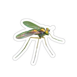 Glänzender Käfer Aufkleber, glänzender Fliegenaufkleber, glänzender Käferaufkleber, glänzende Fliegen, kleine goldene Fliege, Insektenaufkleber, Wildtieraufkleber, Natur