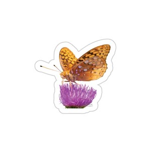 Gestanste sticker, vlinder, parelmoervlinder, distel, meerdere maten, foto, natuur, dieren in het wild,