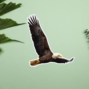 Pegatinas de águila calva, pegatina de águila en vuelo, águila calva altísima, fotos de vida silvestre, rapaces y aves rapaces, patriótica, naturaleza de EE. UU.