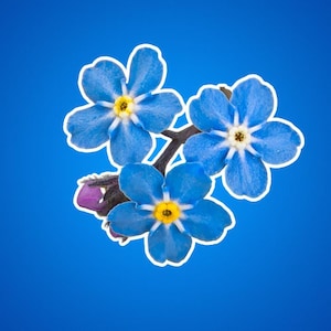Sticker fleurs myosotis bleu - Sticker floral mignon pour ordinateurs portables, scrapbooking, Bullet Journals et bouteilles d'eau, Sticker Kiss-Cut