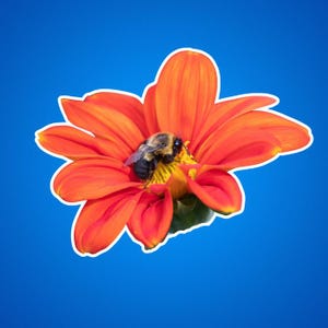 Stickers bourdons, Sticker nature, Sticker fleur, Sticker mignon, cadeau pour amateur de plantes, décoration de jardin